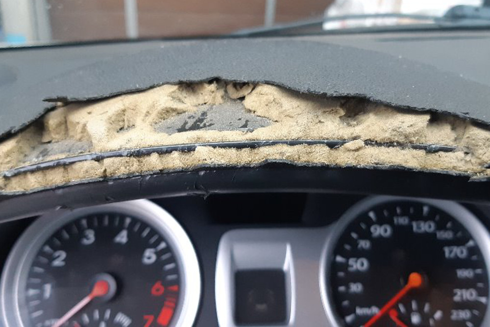 Photo gallery, repair of chewed dashboard from dog