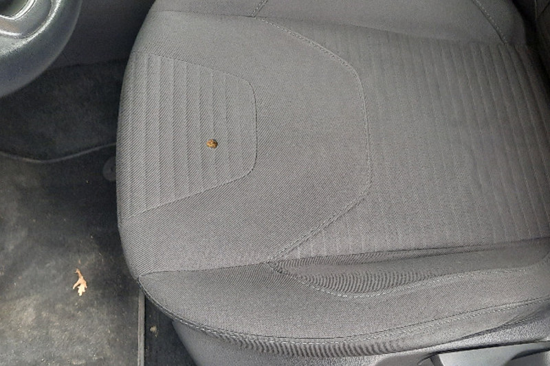 Photo gallery, repair of a hole in the seat